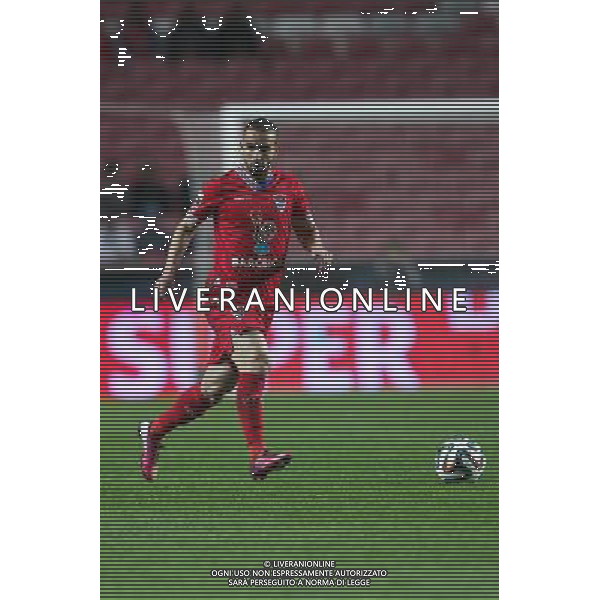 Gabriel - 04.01.2014 - Benfica / Gil Vicente - Coupe du Portugal Photo : Carlos Rodrigues / Icon Sport AG ALDO LIVERANI SAS ONLY ITALY