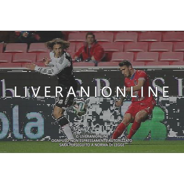 Diogo Viana - 04.01.2014 - Benfica / Gil Vicente - Coupe du Portugal Photo : Carlos Rodrigues / Icon Sport AG ALDO LIVERANI SAS ONLY ITALY