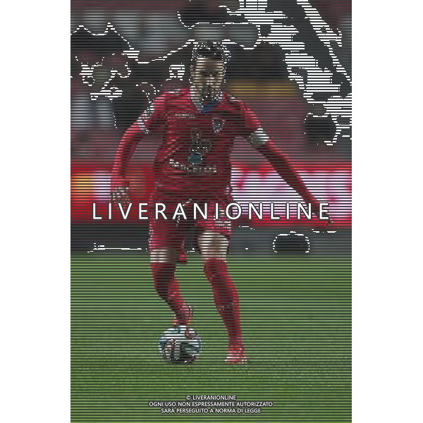 Cesar Peixoto - 04.01.2014 - Benfica / Gil Vicente - Coupe du Portugal Photo : Carlos Rodrigues / Icon Sport AG ALDO LIVERANI SAS ONLY ITALY