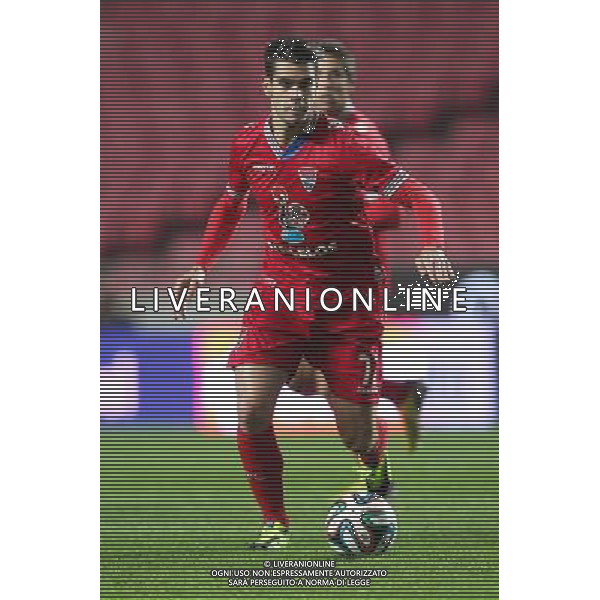 Joao Vilela - 04.01.2014 - Benfica / Gil Vicente - Coupe du Portugal Photo : Carlos Rodrigues / Icon Sport AG ALDO LIVERANI SAS ONLY ITALY