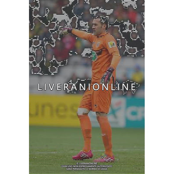 David OSPINA - 05.01.2014 - Nantes / Nice - 32emeFinale Coupe de France - Photo : Vincent Michel / Icon Sport AG ALDO LIVERANI SAS ONLY ITALY