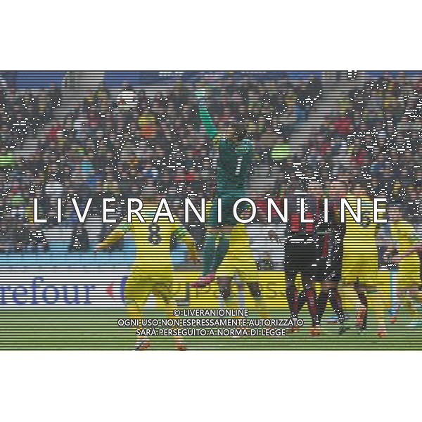 Erwin ZELAZNY - 05.01.2014 - Nantes / Nice - 32emeFinale Coupe de France - Photo : Vincent Michel / Icon Sport AG ALDO LIVERANI SAS ONLY ITALY