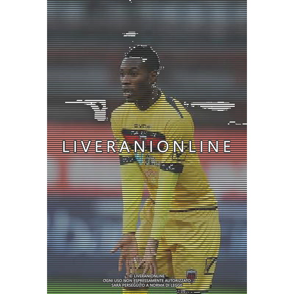 PERUGIA NOCERINA LEGA PRO 05-01.2014 NELLA FOTO HOTTOR EDMOUND FOTO ROBERTO SETTONCE-AG ALDO LIVERANI SAS