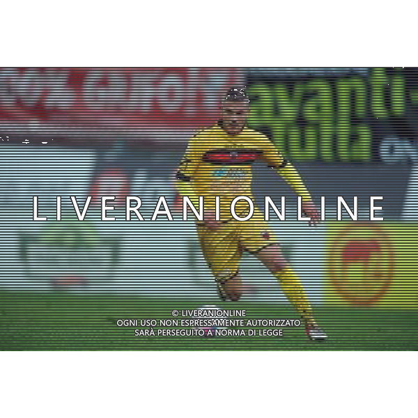 PERUGIA NOCERINA LEGA PRO 05-01.2014 NELLA FOTO MALCORE CARLO FOTO ROBERTO SETTONCE-AG ALDO LIVERANI SAS