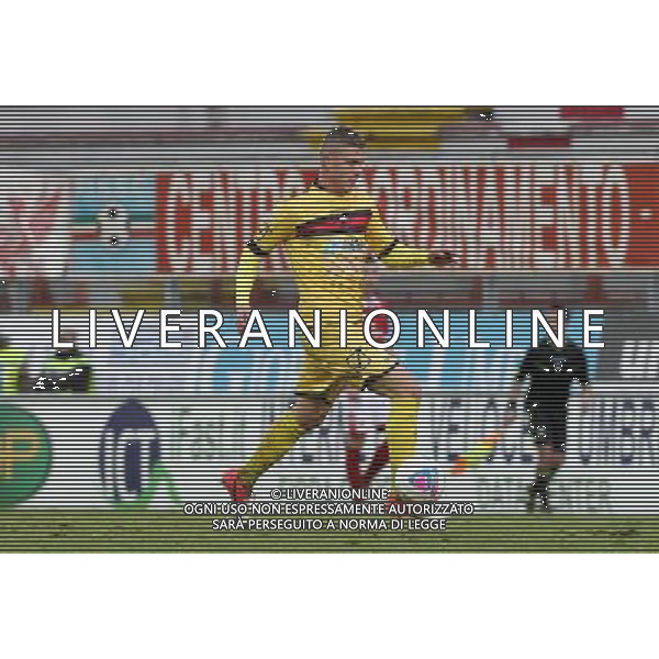 PERUGIA NOCERINA LEGA PRO 05-01.2014 NELLA FOTO MALCORE GIANCARLO FOTO ROBERTO SETTONCE-AG ALDO LIVERANI SAS