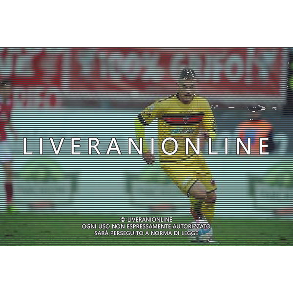 PERUGIA NOCERINA LEGA PRO 05-01.2014 NELLA FOTO MALCORE GIANCARLO FOTO ROBERTO SETTONCE-AG ALDO LIVERANI SAS