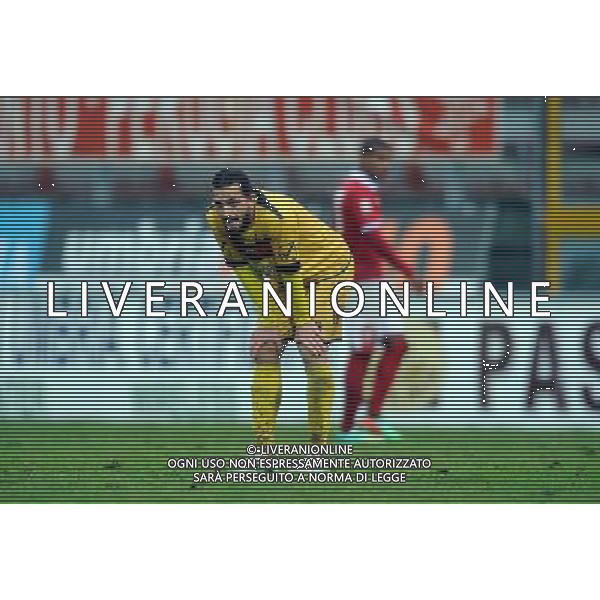 PERUGIA NOCERINA LEGA PRO 05-01.2014 NELLA FOTO REMEDI LORENZO FOTO ROBERTO SETTONCE-AG ALDO LIVERANI SAS