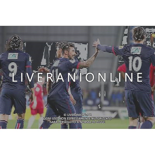 Joie Ezequiel LAVEZZI / Zlatan IBRAHIMOVIC - 08.01.2014 - Brest / Paris Saint Germain - 32emeFinale Coupe de France Photo : Maxime Kerriou / Icon Sport AG ALDO LIVERANI SAS ONLY ITALY