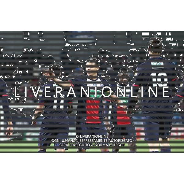 Joie Thiago SILVA / Zlatan IBRAHIMOVIC - 08.01.2014 - Brest / Paris Saint Germain - 32emeFinale Coupe de France Photo : Maxime Kerriou / Icon Sport AG ALDO LIVERANI SAS ONLY ITALY