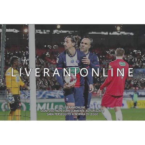 Joie Zlatan Ibrahimovic / ALEX - 08.01.2014 - Brest / Paris Saint Germain - 32emeFinale Coupe de France Photo : Maxime Kerriou / Icon Sport AG ALDO LIVERANI SAS ONLY ITALY