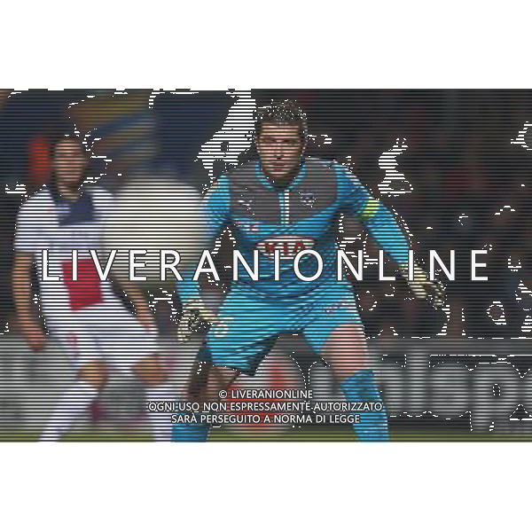 Cedric Carrasso - 14.01.2014 - Bordeaux / Paris Saint Germain - 1/4Finale Coupe de la Ligue Photo : Manuel Blondeau / Icon Sport AG ALDO LIVERANI SAS ONLY ITALY