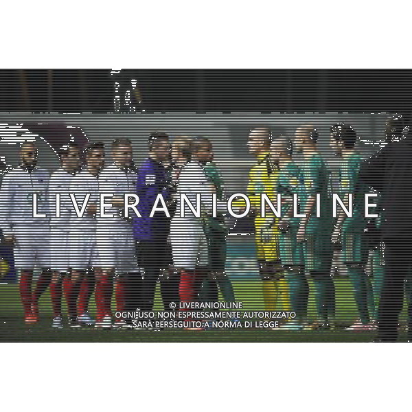 Presentation des joueurs - 14.01.2014 - Cannes / Saint Etienne - 1/32eFinale Coupe de France Photo : Olivier Anrigo / Icon Sport AG ALDO LIVERANI SAS ONLY ITALY