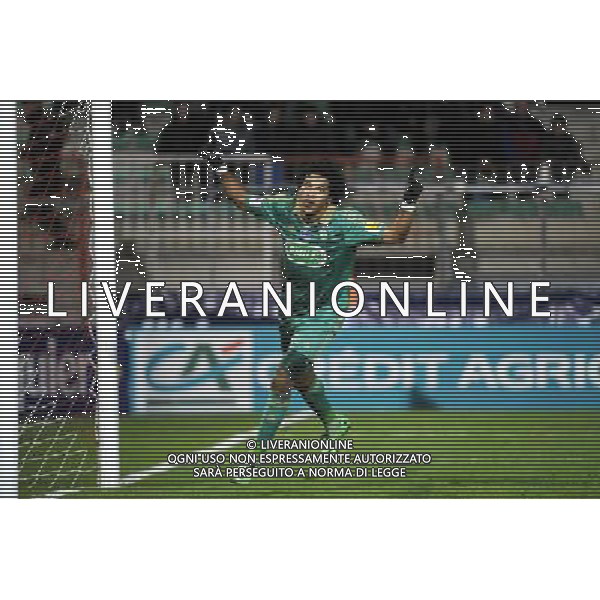 Joie BRANDAO - 14.01.2014 - Cannes / Saint Etienne - 1/32eFinale Coupe de France Photo : Olivier Anrigo / Icon Sport AG ALDO LIVERANI SAS ONLY ITALY