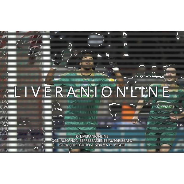 Joie BRANDAO - 14.01.2014 - Cannes / Saint Etienne - 1/32eFinale Coupe de France Photo : Olivier Anrigo / Icon Sport AG ALDO LIVERANI SAS ONLY ITALY