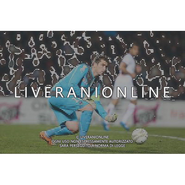 Cedric Carrasso - 14.01.2014 - Bordeaux / Paris Saint Germain - 1/4Finale Coupe de la Ligue Photo : Manuel Blondeau / Icon Sport AG ALDO LIVERANI SAS ONLY ITALY