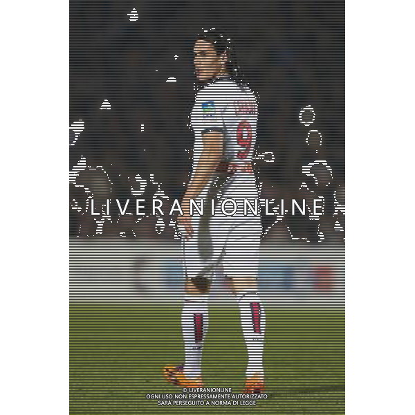 Edinson Cavani - 14.01.2014 - Bordeaux / Paris Saint Germain - 1/4Finale Coupe de la Ligue Photo : Manuel Blondeau / Icon Sport AG ALDO LIVERANI SAS ONLY ITALY
