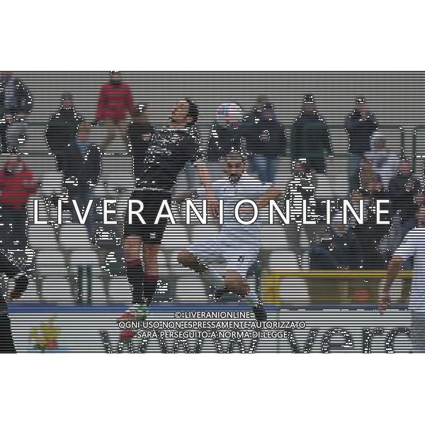 Vercelli 19-01-2014 Stadio Silvio Piola Campionato Lega PRO Prima Divisione girone A - 18å¡ giornata Pro Vercelli - Reggiana nella foto Anastasi e Cosenza foto Roberto Garavaglia - ag. Aldo Liverani sas