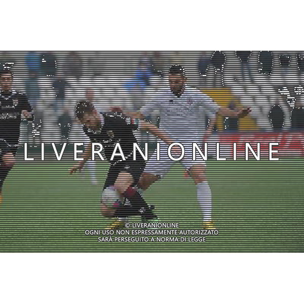 Vercelli 19-01-2014 Stadio Silvio Piola Campionato Lega PRO Prima Divisione girone A - 18å¡ giornata Pro Vercelli - Reggiana nella foto Solini e Statella foto Roberto Garavaglia - ag. Aldo Liverani sas