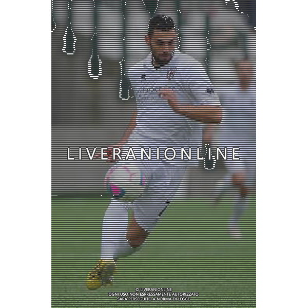 Vercelli 19-01-2014 Stadio Silvio Piola Campionato Lega PRO Prima Divisione girone A - 18Â° giornata Pro Vercelli - Reggiana nella foto Giuseppe Statella (Pro Vercelli) foto Roberto Garavaglia - ag. Aldo Liverani sas