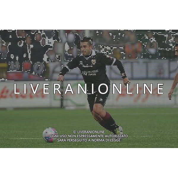 Vercelli 19-01-2014 Stadio Silvio Piola Campionato Lega PRO Prima Divisione girone A - 18Â° giornata Pro Vercelli - Reggiana nella foto Andre\' Viapiana (Reggiana) foto Roberto Garavaglia - ag. Aldo Liverani sas