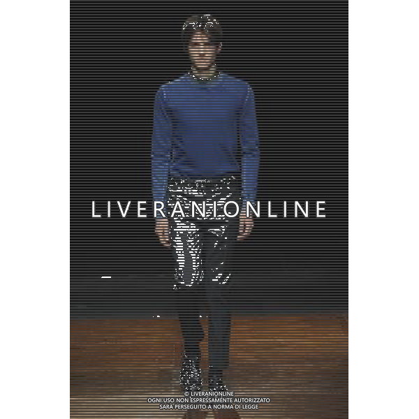 Dior Homme Autumn Winter 2014 Paris Fashion Week Ready to Wear Menswear Â©Photoshot/Ag. Aldo Liverani s.a.s.-Only Italy-Editorial Use Only