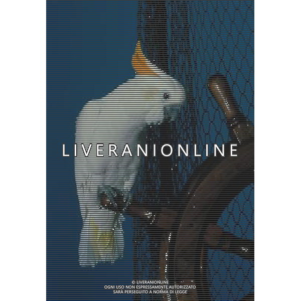 ANIMALI VARIE NELLA FOTO ARA AGENZIA ALDO LIVERANI IFC