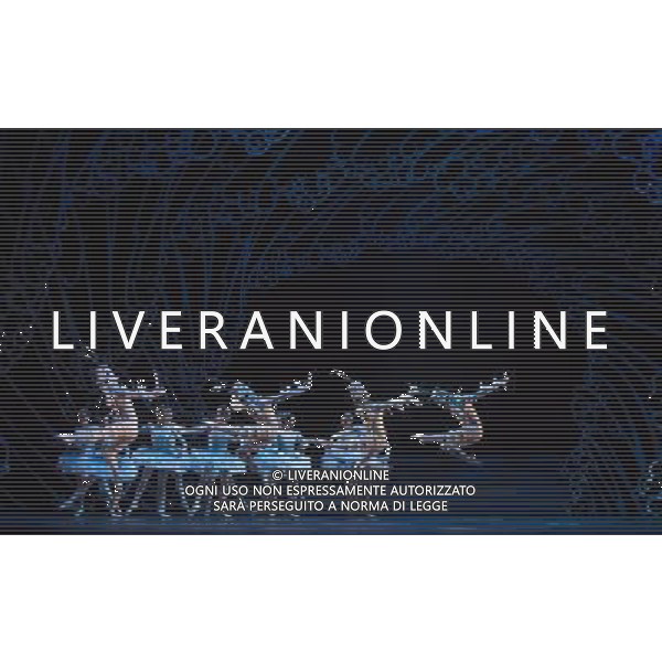 The Prince of the Pagodas, dress rehearsal on 29th January 2014 at The Lowry, Salford, England. The show will runs from 30th January - 1st February 2014 before touring the UK. David Bintley\'s ballet to Benjamin Britten\'s only commissioned ballet score was rapturously received by audiences and critics at its premiere by the National Ballet of Japan in 2011. The spectacular and imaginative costumes from War Horse designer Rae Smith bring to life the elegance and beauty of the Chrysanthemum Kingdom, and capture our imagination in the fantastical journey through the elements. ©photoshot/AGENZIA ALDO LIVERANI SAS - ITALY ONLY - Ballerini classici durante le prove de \'Il principe delle pagode\' , prova generale del 29 gennaio 2014 al The Lowry, Salford, in Inghilterra
