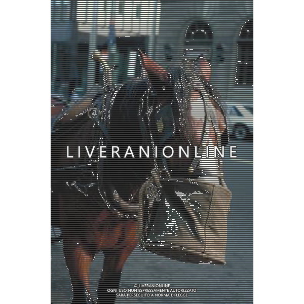 ANIMALI nella foto: CAVALLO CHE MANGIA ALDO LIVERANI IFC