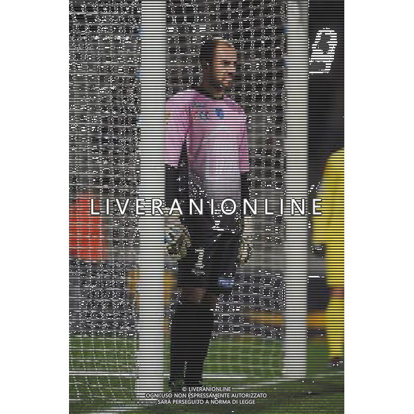 Matthieu DREYER - 05.02.2014 - Lyon / Troyes - 1/2Finale Coupe de la Ligue Photo : Jean Paul Thomas / Icon Sport AG ALDO LIVERANI SAS ONLY ITALY