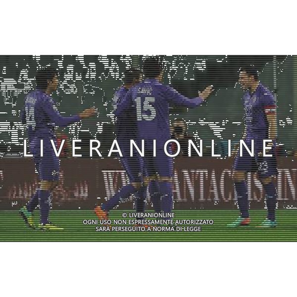Coppa Italia TIM Cup 2013/2014 Semifinale Ritorno Firenze - 11.02.2014 Fiorentina-Udinese Nella Foto:pasqual esulta /Ph.Vitez-Ag. Aldo Liverani