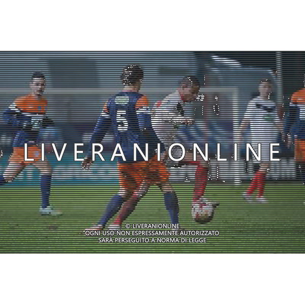 Stephane MARIGNALE - 11.02.2014 - Cannes / Montpellier - 8eFinale Coupe de France Photo : Olivier Anrigo / Icon Sport AG ALDO LIVERANI SAS ONLY ITALY