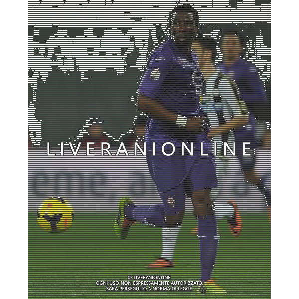 Coppa Italia TIM Cup 2013/2014 Semifinale Ritorno Firenze - 11.02.2014 Fiorentina-Udinese Nella Foto:Modibo Diakite\' /Ph.Vitez-Ag. Aldo Liverani