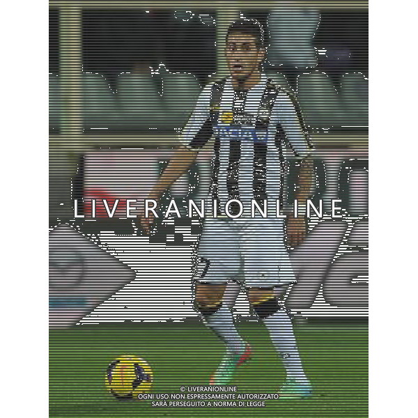 Coppa Italia TIM Cup 2013/2014 Semifinale Ritorno Firenze - 11.02.2014 Fiorentina-Udinese Nella Foto:Pereyra Roberto Maximiliano /Ph.Vitez-Ag. Aldo Liverani