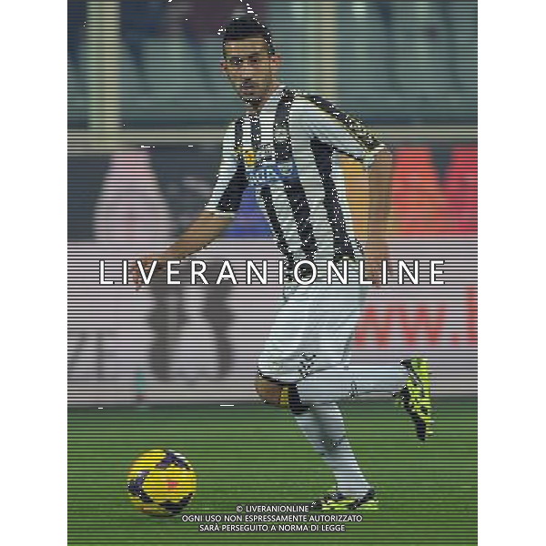 Coppa Italia TIM Cup 2013/2014 Semifinale Ritorno Firenze - 11.02.2014 Fiorentina-Udinese Nella Foto:Pinzi Giampiero /Ph.Vitez-Ag. Aldo Liverani