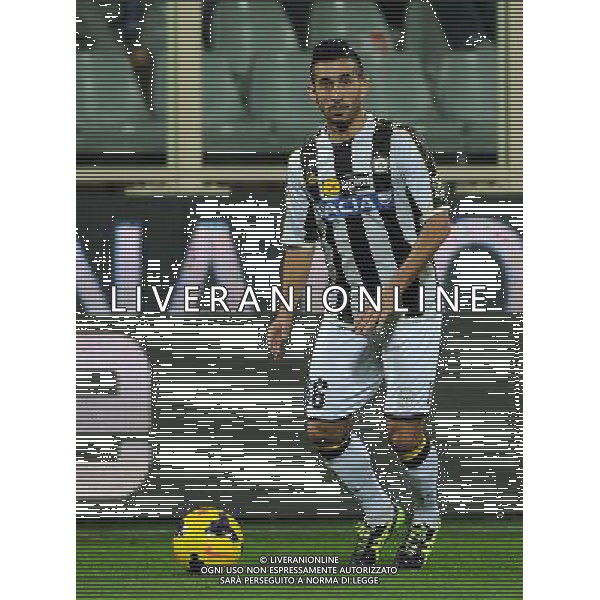 Coppa Italia TIM Cup 2013/2014 Semifinale Ritorno Firenze - 11.02.2014 Fiorentina-Udinese Nella Foto:Pinzi Giampiero /Ph.Vitez-Ag. Aldo Liverani
