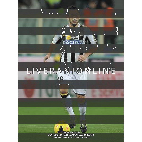 Coppa Italia TIM Cup 2013/2014 Semifinale Ritorno Firenze - 11.02.2014 Fiorentina-Udinese Nella Foto:Pinzi Giampiero /Ph.Vitez-Ag. Aldo Liverani