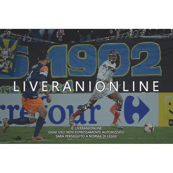 Mohamed Soly - 11.02.2014 - Cannes / Montpellier - 8eFinale Coupe de France 2013/2014 Photo : Olivier Anrigo / Icon Sport AG ALDO LIVERANI SAS ONLY ITALY