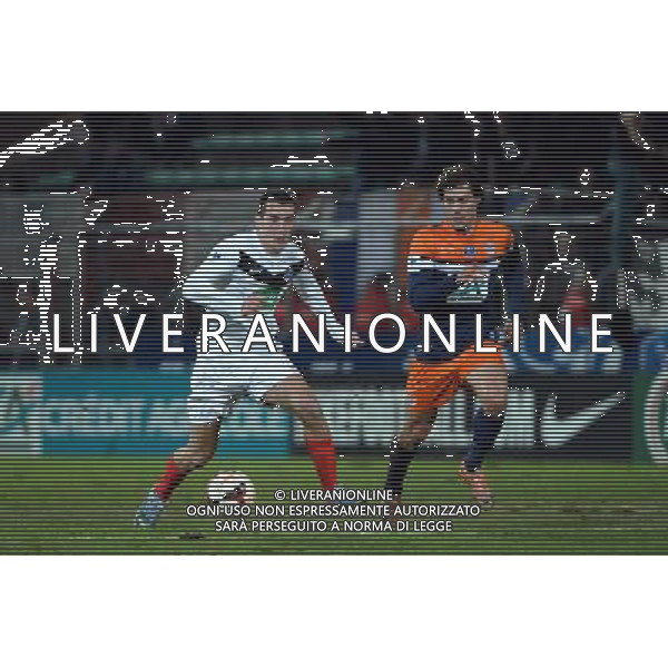 Stephane CHMIELINSKI - 11.02.2014 - Cannes / Montpellier - 8eFinale Coupe de France 2013/2014 Photo : Olivier Anrigo / Icon Sport AG ALDO LIVERANI SAS ONLY ITALY