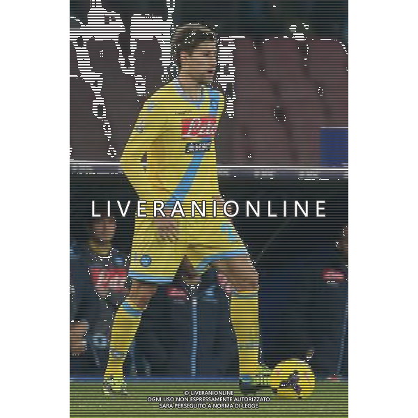 NAPOLI CALCIO NELLA FOTO: FEDERICO FERNANDEZ FOTO MOSCA- AG.LIVERANI