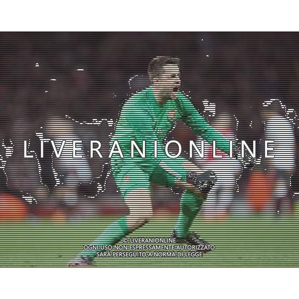 Arsenal\'s Lukasz Fabianski celebrates Aresnal win after the game Photo by Kieran Galvin/CameraSport Football - FA Challenge Cup Fifth Round - Arsenal v Liverpool - Sunday 16th February 2014 - Emirates Stadium - London © CameraSport - 43 Linden Ave. Countesthorpe. Leicester. England. LE8 5PG - Tel: +44 (0) 116 277 4147 - admin@camerasport.com - www.camerasport.com AG ALDO LIVERANI SAS ONLY ITALY