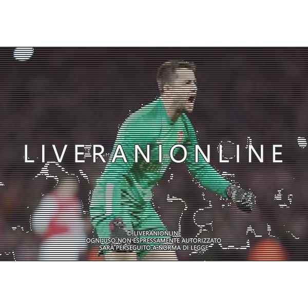Arsenal\'s Lukasz Fabianski celebrates Aresnal win after the game Photo by Kieran Galvin/CameraSport Football - FA Challenge Cup Fifth Round - Arsenal v Liverpool - Sunday 16th February 2014 - Emirates Stadium - London © CameraSport - 43 Linden Ave. Countesthorpe. Leicester. England. LE8 5PG - Tel: +44 (0) 116 277 4147 - admin@camerasport.com - www.camerasport.com AG ALDO LIVERANI SAS ONLY ITALY