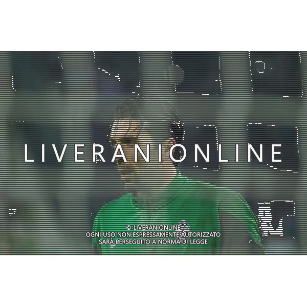 2014 Â© Matteo Bottanelli - Turin 20/02/14 - Football - Uefa Europa League - Round of 32 - Juventus Trazbonspor - shown in the picture: Buffon AG ALDO LIVERANI SAS