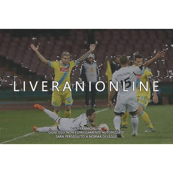 NAPOLI - SWANSEA UEFA EUROPA LEAGUE 27 FABBRAIO 2014 NELLA FOTO: BEHRAMI, HERNANDEZ ©MOSCA/AGENZIA ALDO LIVERANI SAS