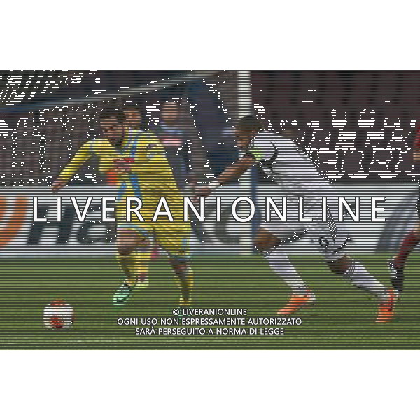 NAPOLI, SWANSEA EUROPA LEAGUE 28 -02-2014 NELLA FOTO: HIGUAIN, WILLIAMS FOTO MOSCA- AG.LIVERANI