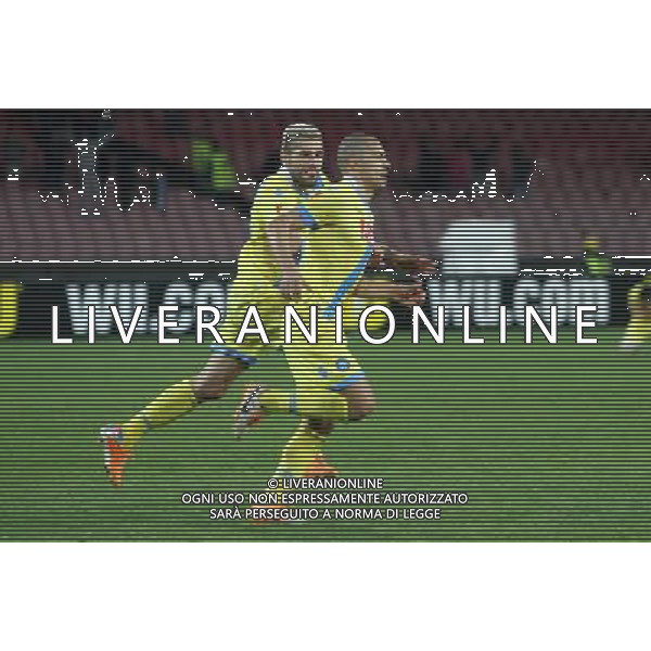 NAPOLI, SWANSEA EUROPA LEAGUE 27-02-2014 NELLA FOTO: ESULTANZA INLER FOTO MOSCA- AG.LIVERANI