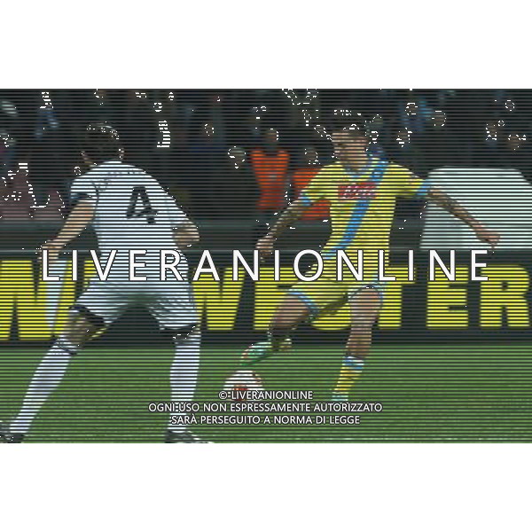 NAPOLI, SWANSEA EUROPA LEAGUE 27-02-2014 NELLA FOTO: HAMISK MAREK FOTO MOSCA- AG.LIVERANI