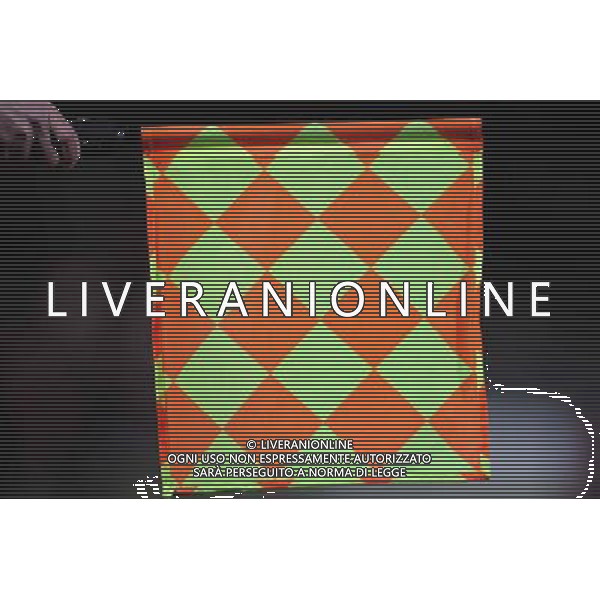 UEFA Europa League 2013/2014 Sedicesimi di Finale Ritorno Firenze - 27.02.2014 Fiorentina-Esbjerg Nella Foto:Guardalinee Particolare /Ph.Vitez-Ag. Aldo Liverani