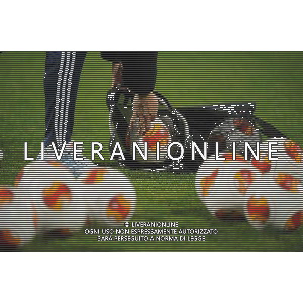 ILLUSTRATION - 27.02.2014 - Lyon / Tchernomorets Odessa - Ligue Europa 2013/2014 Photo : Jean Paul Thomas / Icon Sport *** Local Caption *** AG ALDO LIVERANI SAS ONLY ITALY *** Local Caption *** AG ALDO LIVERANI SAS ONLY ITALY