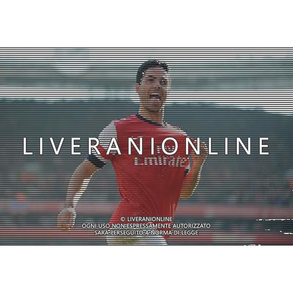 MIKEL ARTETA SCORES PENALTY ARSENAL FC V EVERTON FC ARSENAL FC V EVERTON FC, THE BUDWEISER FA CUP QUARTER FINAL EMIRATES STADIUM, LONDON, ENGLAND 08 March 2014 GAT79225 THE BUDWEISER FA CUP QUARTER FINALS WARNING! This Photograph May Only Be Used For Newspaper And/Or Magazine Editorial Purposes. May Not Be Used For Publications Involving 1 player, 1 Club Or 1 Competition Without Written Authorisation From Football DataCo Ltd. For Any Queries, Please Contact Football DataCo Ltd on +44 (0) 207 864 9121 AG ALDO LIVERANI SAS ONLY ITALY