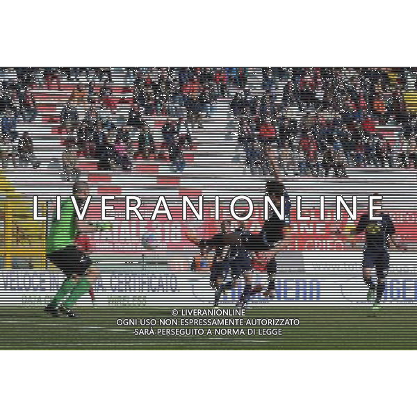 PERUGIA BARLETTA LEGA PRO 09-03-2014 NELLA FOTO AUTOGOL CAMILLERI FOTO SETTONCE-AG ALDO LIVERANI SAS
